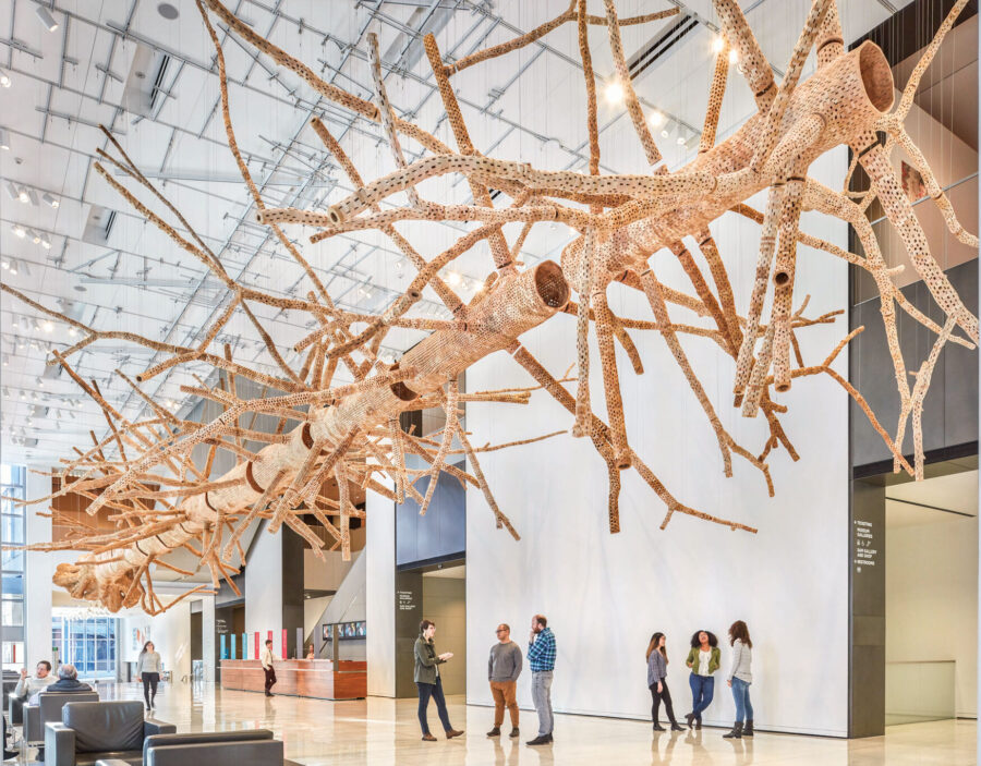 The Seattle Art Museum, A Hub of Culture, Art, and Innovation thearttimes art magazine art times artist profiles art news art biography art shop art marketplace online gallery artworks