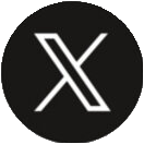 X Share Icon