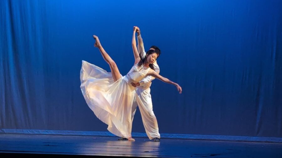 A Day in the Life of a Professional Dancer, The Rigorous Routine Behind the Scenes The Art Times