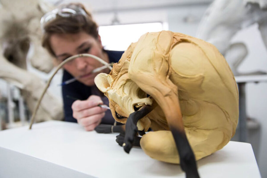 The Emotional Power of Clay, Exploring the Animal Sculptures of Beth Cavener Stichter