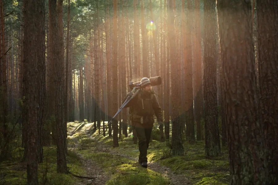 Morten Hilmer, Into the Quiet Wild 2 thearttimes art magazine art times artist profiles art news art biography art shop art marketplace online gallery artworks